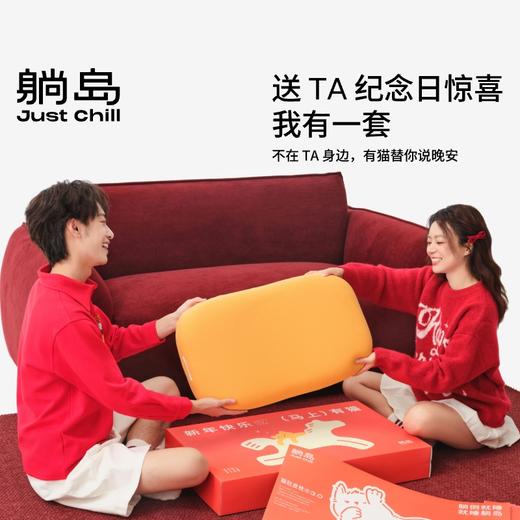【新品】躺岛猫肚皮枕3.0记忆棉枕 商品图1