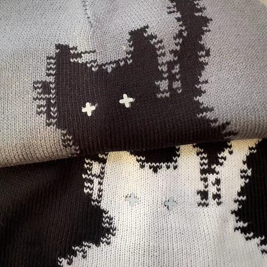 D121622韩国秋冬提花3M反光电眼小猫针织毛线帽子保暖冷帽男女同款 商品图8