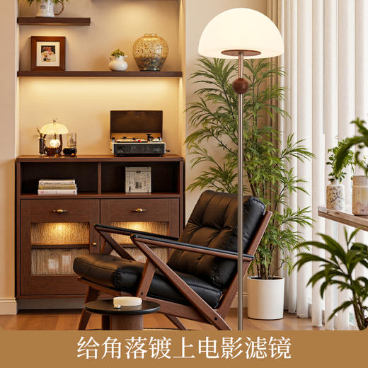 [预售·30天内发货]欧普（OPPLE）26新款中古风落地灯客厅沙发旁高级感装饰灯卧室复古实木氛围灯具小蘑菇 商品图3
