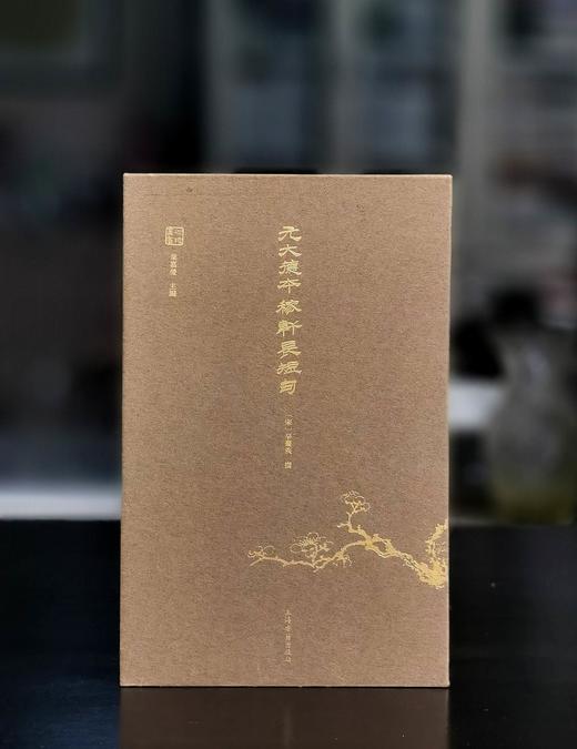 迦陵丛书02：《元大德本稼轩长短句》，16开，锦面精装，一函两册，[宋]辛弃疾著，叶嘉莹主编，上海古籍出版社2025年6月一版一印，496页，定价：358 商品图1