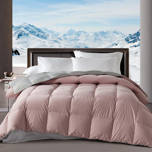 帝豪羽皇鹅绒被【A35】 商品图3