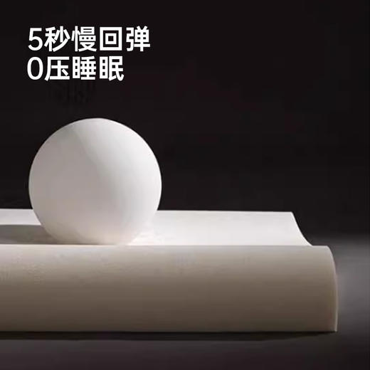 帝豪小黑棒太空记忆枕【A35】 商品图4