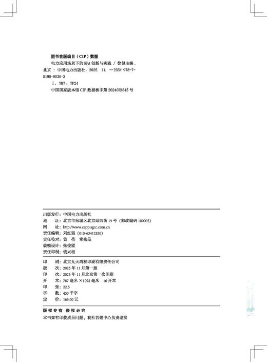 电力应用场景下的RPA创新与实践 商品图1