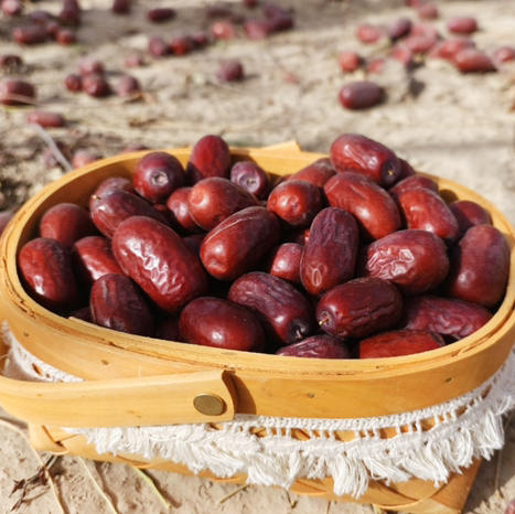 【新疆和田玉枣】原生态 
兵团风干枣，饱满圆润、褶皱少，肉厚皮薄核小，树上自然吊干，4斤/5斤纸箱 商品图1