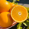 【橙意满满】云南冰糖橙 清甜细嫩 3斤/5斤/9斤 商品缩略图0