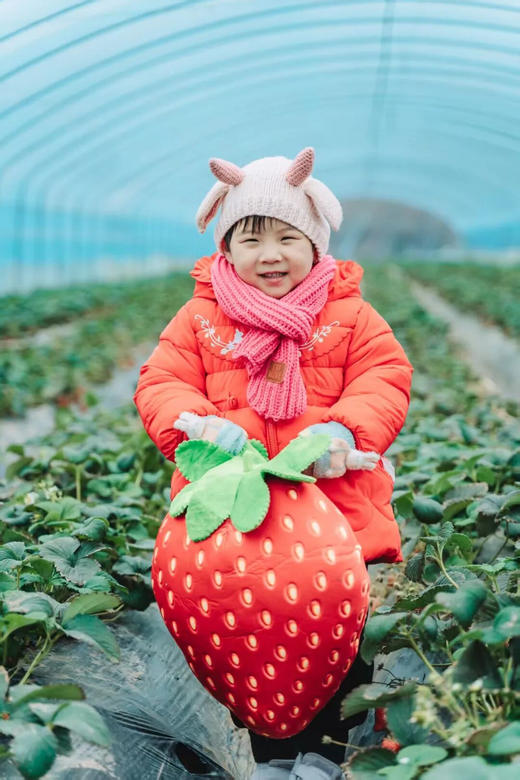 12.21（日）【双流空港花田】莓好圣诞一日亲子营：摘草莓、diy巧克力草莓、草莓花束、diy圣诞花环、圣诞月球灯 商品图1