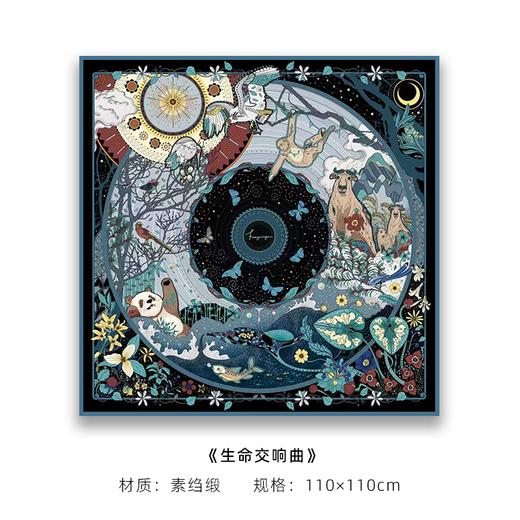 生命交响曲 商品图0