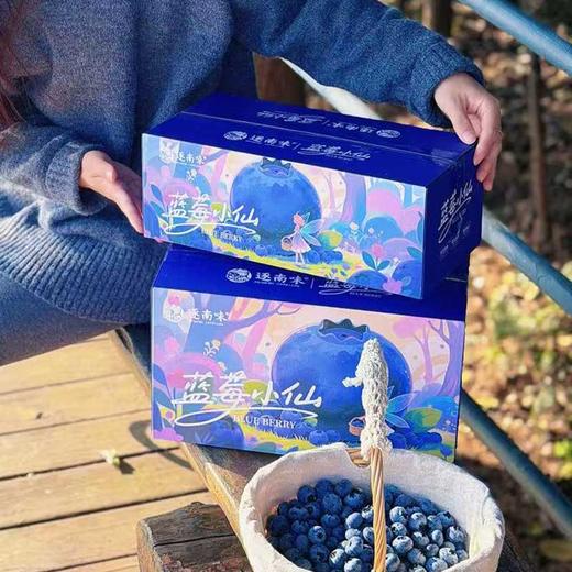 云南抚仙湖d的滋养【逐南味】花香蓝莓 口感脆甜 自带花香 富含花青素   商品图3