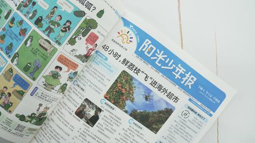  《阳光少年报》大小少年合订本火热出炉❗寒假阅读还是查漏补缺，绝对划算、超值❗ 商品图7