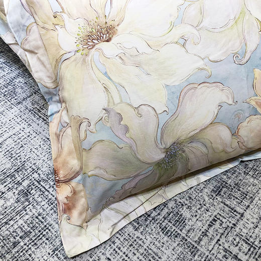 帝豪纯棉磨毛床单四件套（林夕）【A35】 商品图1