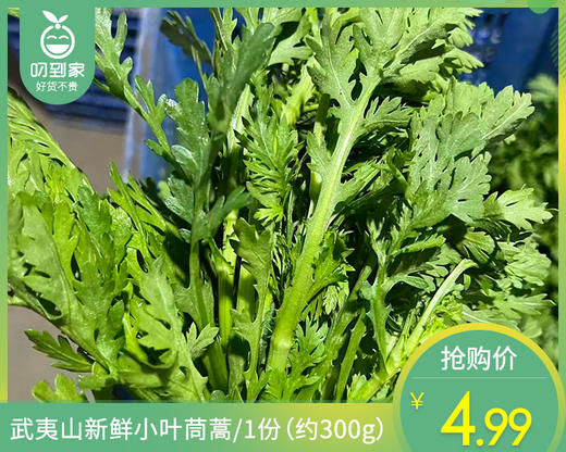【叼鲜蔬】武夷山新鲜小叶茼蒿/1份（约300g） 商品图0
