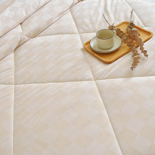 【秋冬棉被】100%棉素道有机彩棉-棋盘格纯棉加厚保暖透气被褥/被子（基地直发-申通包邮），来自敦煌，品牌：素道【合作生产，公平贸易】 商品图3