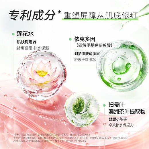 美望维稳修肤精华 舒敏精华液干红修肤 面部补水保湿舒缓敏感肌 商品图2
