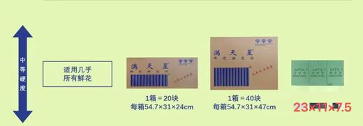 满天星花泥 商品图0