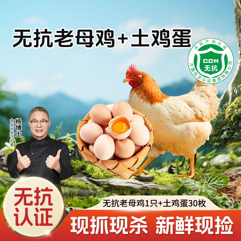 【杨博士多子多福组合】1只无抗老母鸡东黄山老母鸡深山散养+30枚土鸡蛋