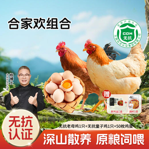 【杨博士 合家欢组合】亲子套装 无抗老母鸡+无抗童子鸡+土鸡蛋50枚  深山散养 五谷喂养 商品图0