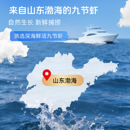 【100%海捕鲜活虾烤制 配料表只有九节虾和盐 开袋即食 高蛋白低脂肪】草牧里九节虾250g/袋 (20-26只) 商品图2