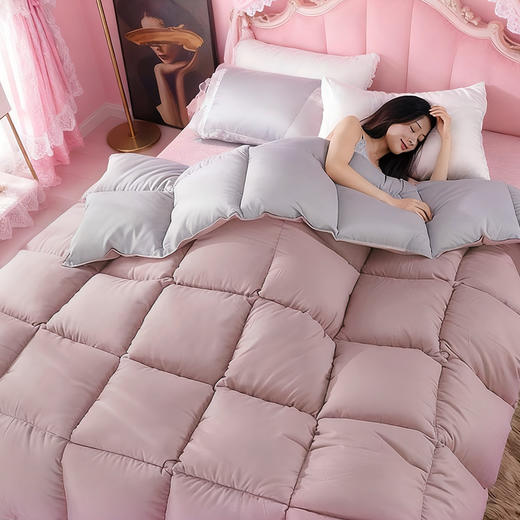 帝豪羽皇鹅绒被【A35】 商品图1