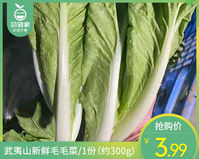 【叼鲜蔬】武夷山新鲜毛毛菜/1份（约300g）