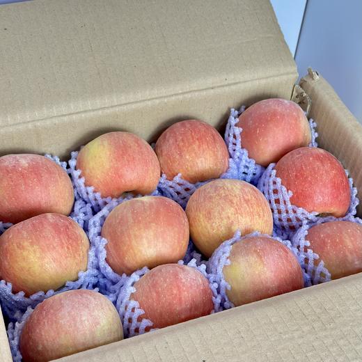 新疆阿克苏冰糖心苹果（普果） 商品图2