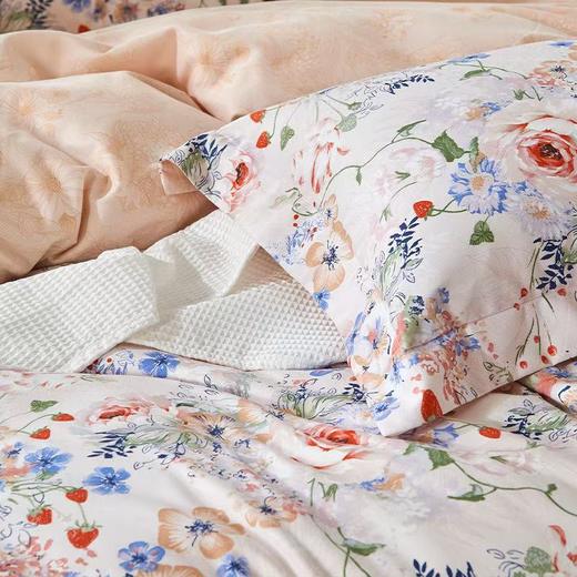 【春上新】10楼 富安娜  磨毛床单四件套  暖阳冬暄   吊牌价 2280-2480元    活动价 599元 商品图4