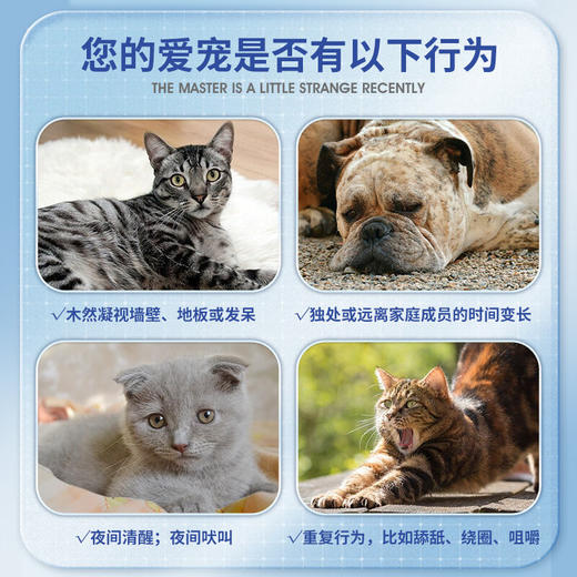 凯塔斯派聪宝catalysis ALZER西班牙宠物改善神经少夜吠提高免疫 商品图4