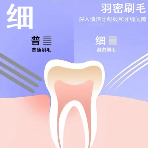 BOPcares羽感柔丝宽头牙刷星黛粉1支【21003479】 商品图2