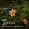 【所长力荐】LELO SONA 3  汐汐贝 （不一样的吮吸、极致静音） 商品缩略图7