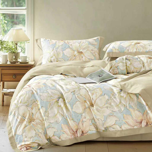 帝豪纯棉磨毛床单四件套（林夕）【A35】 商品图0