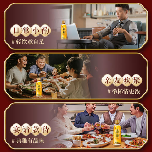 500ml40 度劲牌桑菊酒 商品图5