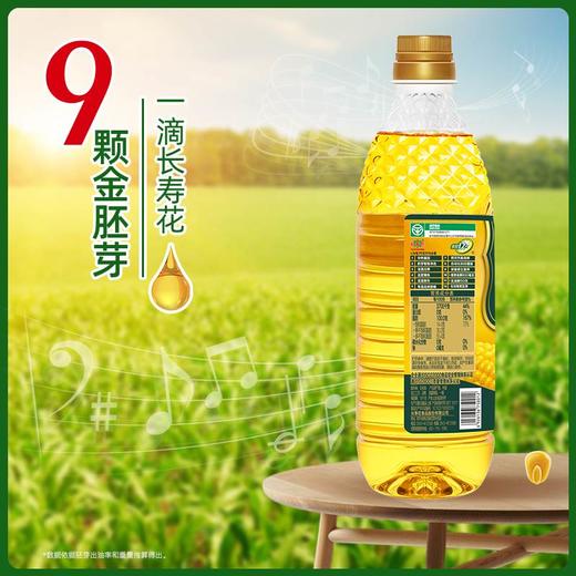 长寿花金胚玉米油1.8+压榨花生油1.8, 赠送浓香玉米油200ml 粒粒甄选12道压榨金胚专利 高烟点更健康 商品图6