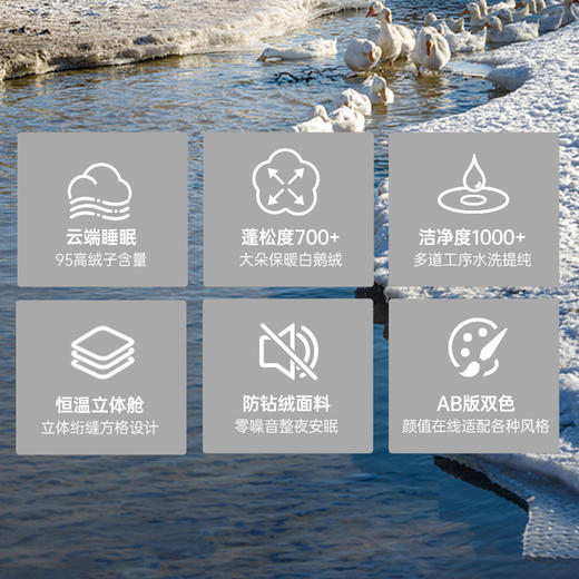 帝豪羽皇鹅绒被【A35】 商品图4