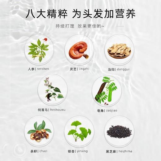【左颜右色旗舰店】红没药醇蓬松止痒洗发水300g 商品图3