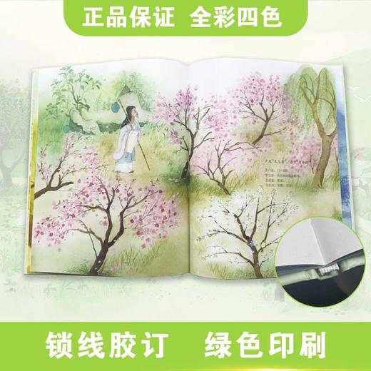 归园田居 商品图4