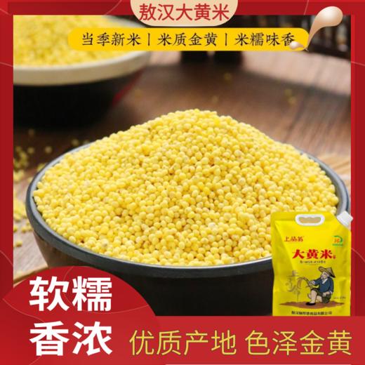 敖汉大黄米 内蒙赤峰优质产地 当季新米 颗粒饱满 干净无杂 2.5kg 商品图0
