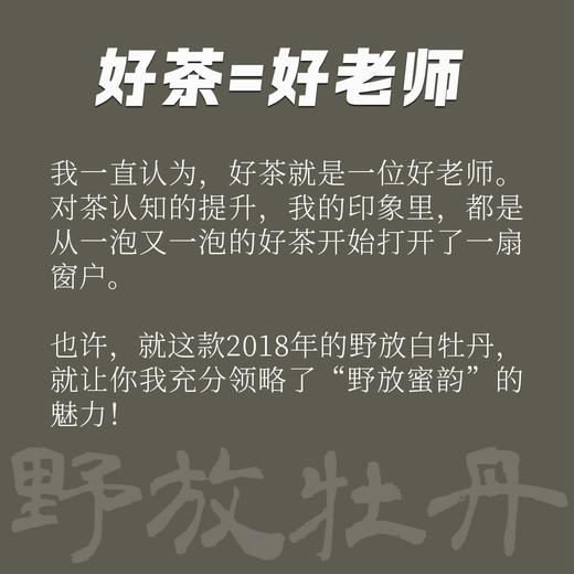 渐喜五年陈 2018年太姥山野放白牡丹福鼎老白茶 [藏茶密室.宝之] 商品图4