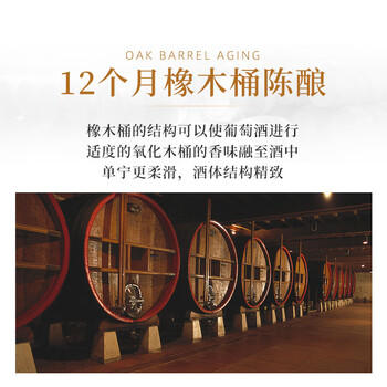 圣芝（suamgy）G320特级珍藏赤霞珠干红葡萄酒750ml*2支礼盒装节日礼品 进口红酒 商品图6