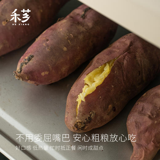 【顺丰发货】禾芗蜜薯 自然香甜 皮薄好剥 甜度高 入口绵密 自有基地种植 商品图3