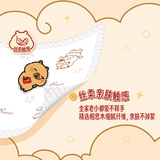清风 马年限定款卡皮巴拉联名手帕纸4层5张30包 丝柔触感 48小时发货 商品图3