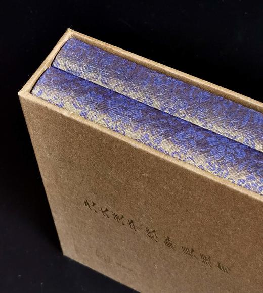 迦陵丛书02：《元大德本稼轩长短句》，16开，锦面精装，一函两册，[宋]辛弃疾著，叶嘉莹主编，上海古籍出版社2025年6月一版一印，496页，定价：358 商品图3