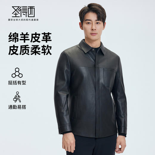 【门店同款】圣得西2025年冬季男士绵羊皮革真皮翻领皮衣
 商品图0