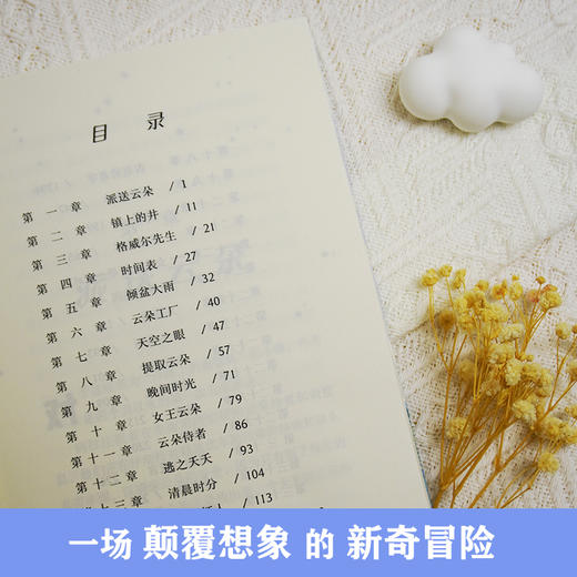 偷云朵的人 百班千人2026年寒假四年级课外阅读4年级名师推荐课外书必读正版授权大阅小森 商品图3