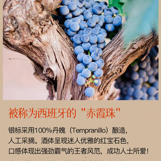西班牙银标拉伯特干红 750ML/瓶 商品图5