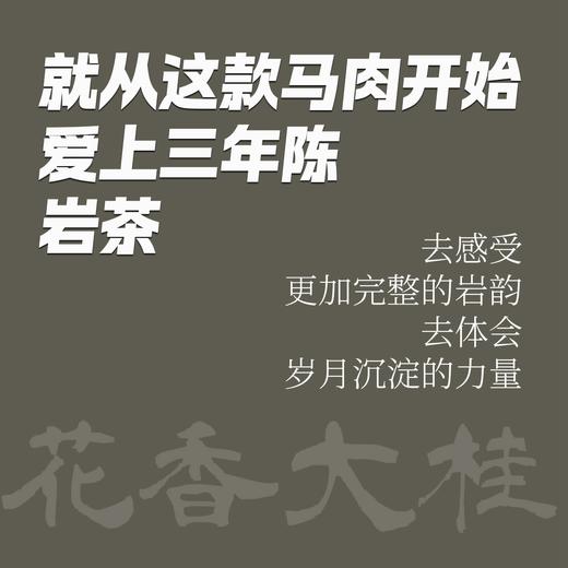 陈隐三年陈 2021年马头岩肉桂 花香大桂武夷正岩 [藏茶密室.宝之] 商品图4