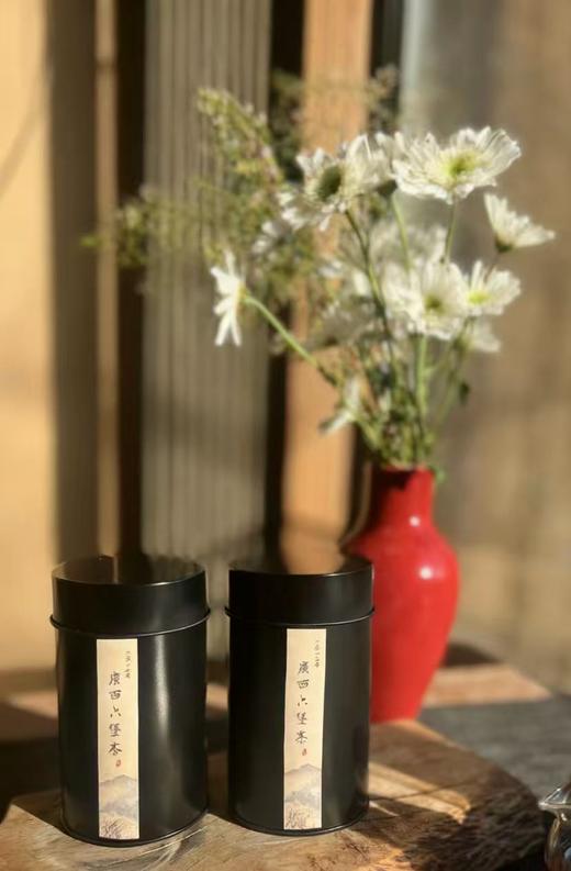 2013年珍贵老黑茶—广西六堡茶 商品图6