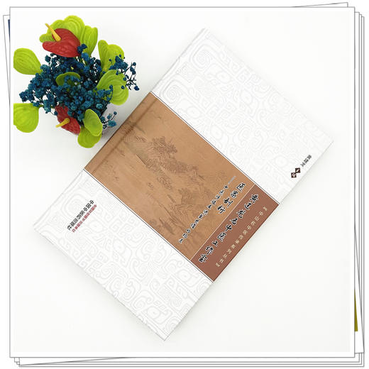 黄建龙名中医工作室医案剖析:中医师临床决策思维的构建 中山名中医传承系列丛书 黄建龙 主编 9787513298728中国中医药出版社 商品图2