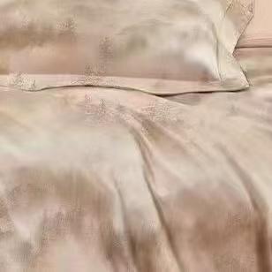 10楼 恐龙 100% 全棉生态磨毛四件套 -林涧-米 200*230cm   吊牌价1580元    活动价399元 商品图1