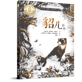 貂儿