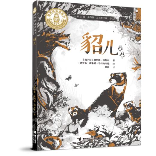 貂儿 商品图0