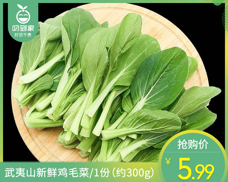 【叼鲜蔬】武夷山新鲜鸡毛菜/1份（约300g）